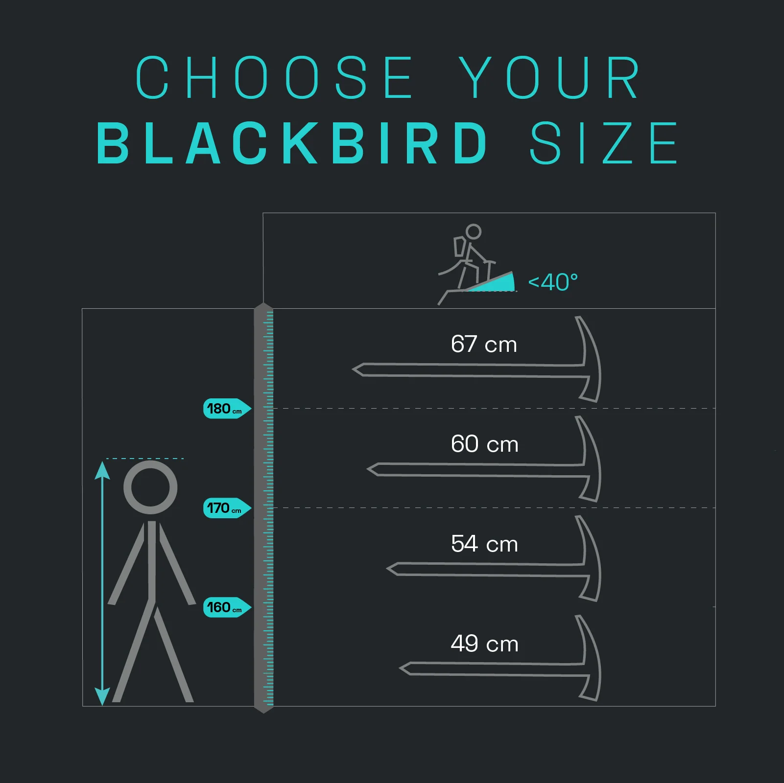 Blackbird - Imagen 5